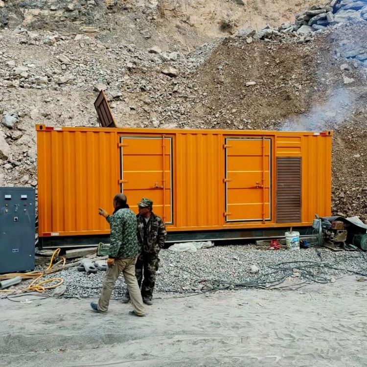 康县如何选择适合自己的 800KW 柴油发电机组？
